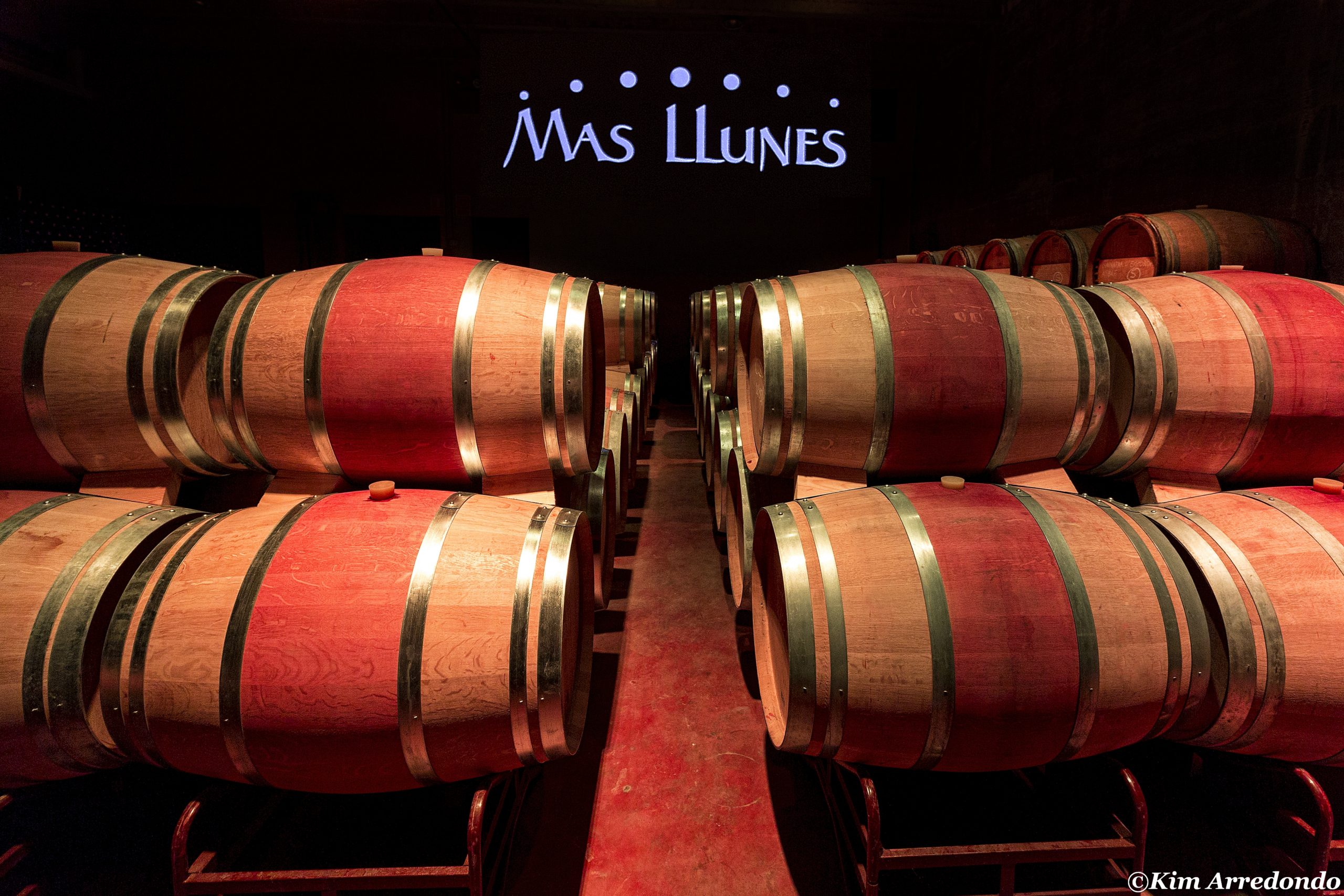 Wineries - Celler Mas Llunes - Garriguella - Empordaturisme