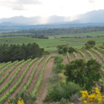 Wineries  - Celler Mas Llunes - Garriguella - Empordaturisme