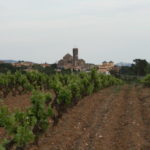 Winery - Cooperativa Garriguella - Empordaturisme
