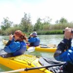 Activites - Ornitocaiac - Sk Kayak - Llanca - Empordaturisme 