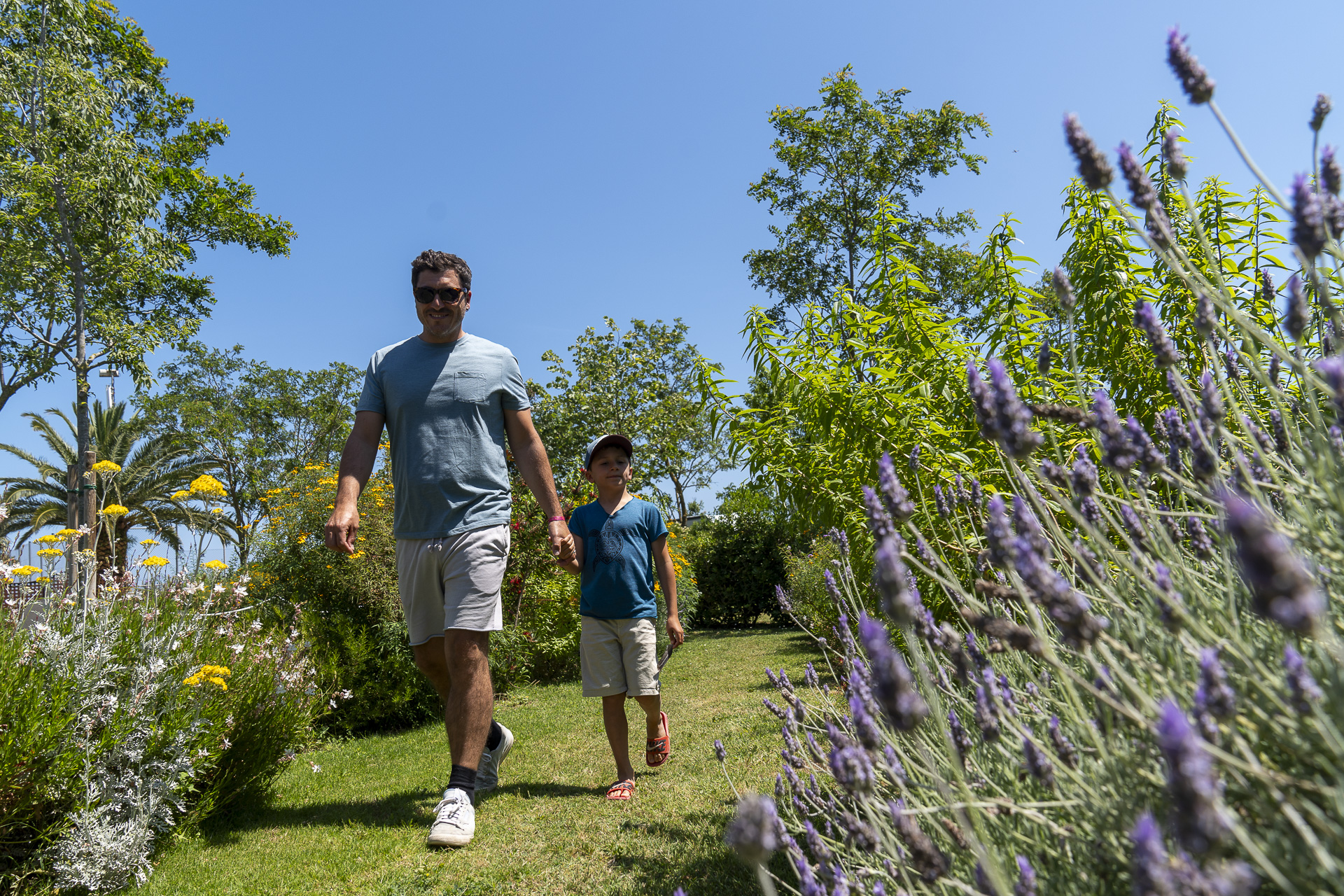 camping amfora_empordaturisme