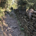 Camino de Sant Jaime - Port de la Selva - Empordaturisme 