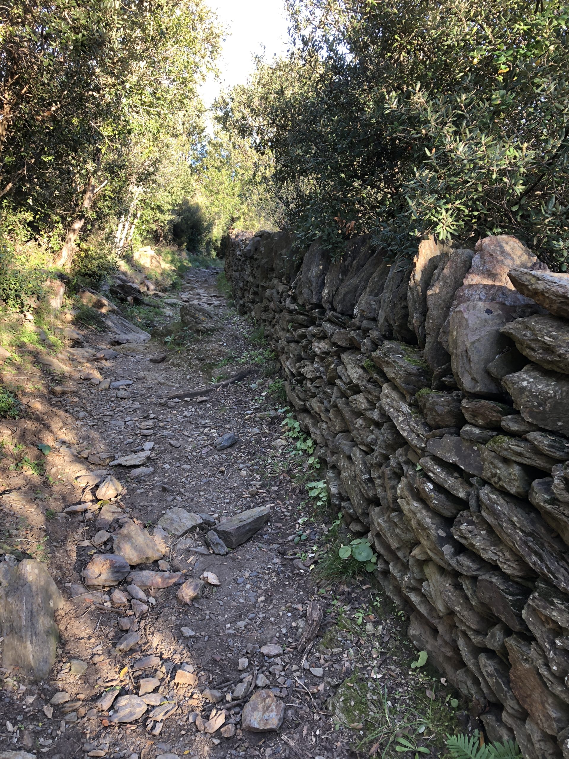 Camino de Sant Jaime - Port de la Selva - Empordaturisme 