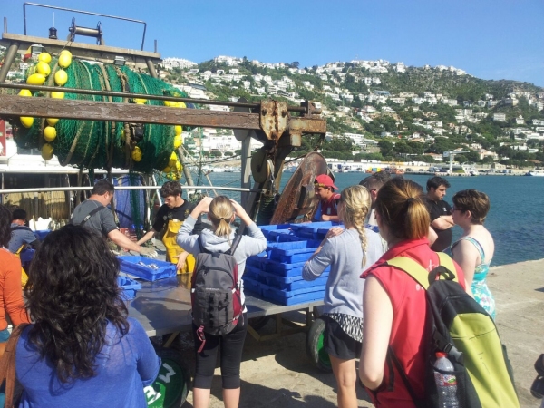 Guided tour of the fishing port and fish auction - roses - empordaturisme