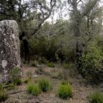 Patrimoni - menhir roc del frare - agullana  - empordaturisme