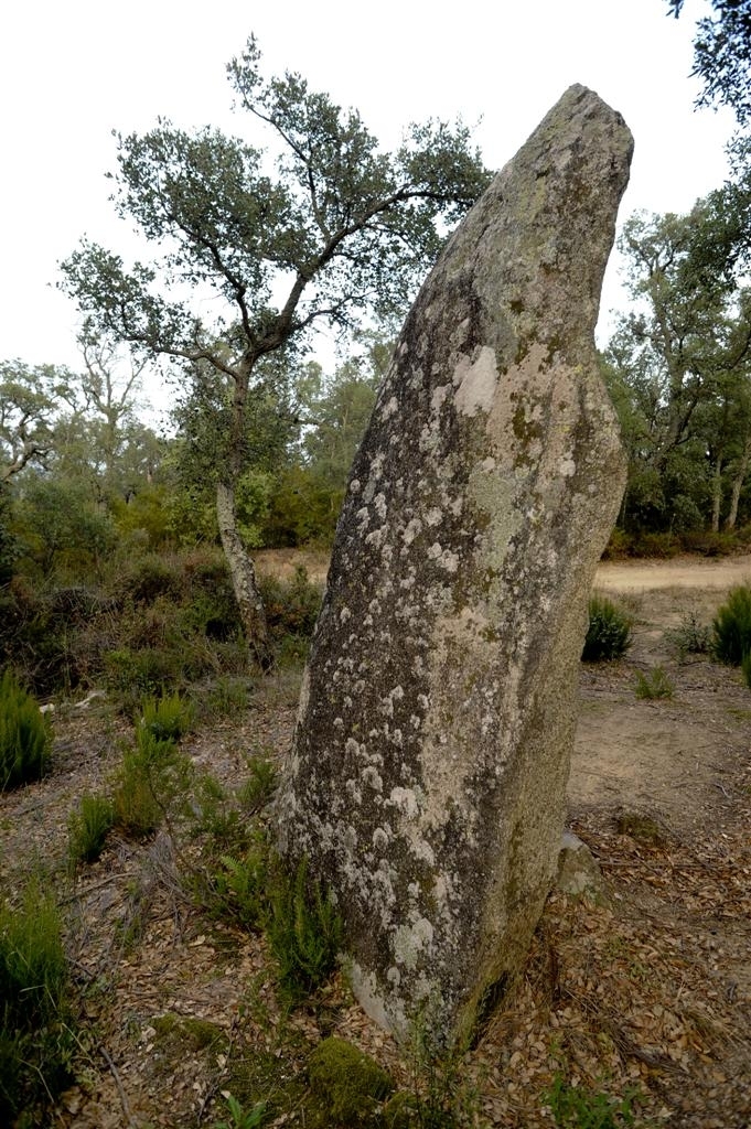 Patrimoni - menhir roc del frare - agullana - empordaturisme