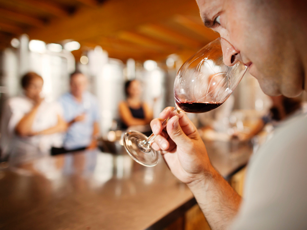 Agenda - visita guiada i tast de vins - la vinyeta - empordaturisme