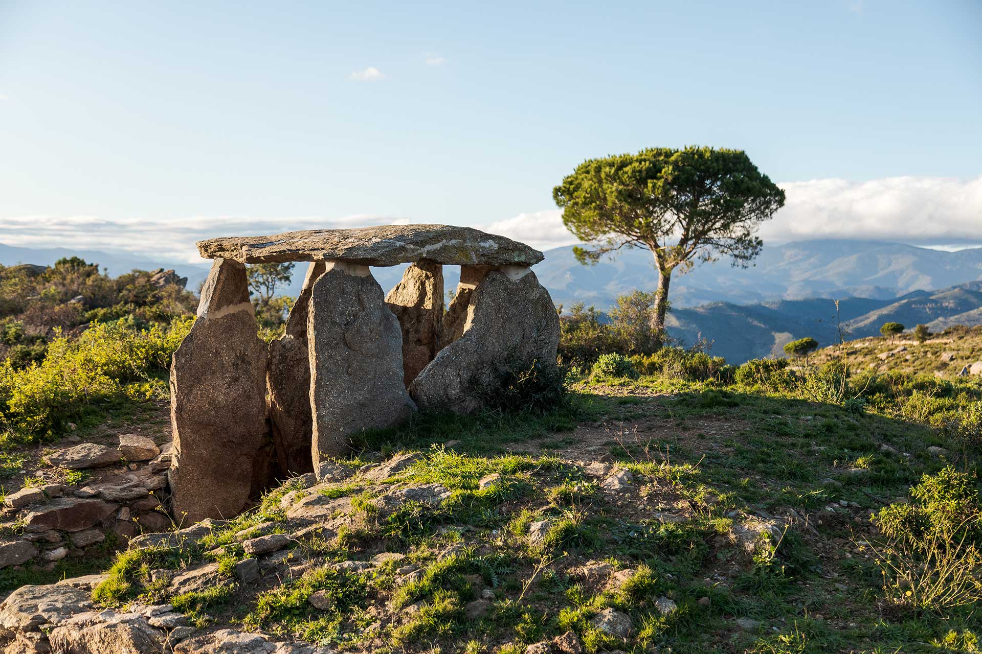 Patrimoni - Vilajuiga-Dolmen-de-les-Vinyes-Mortes-empordaturisme