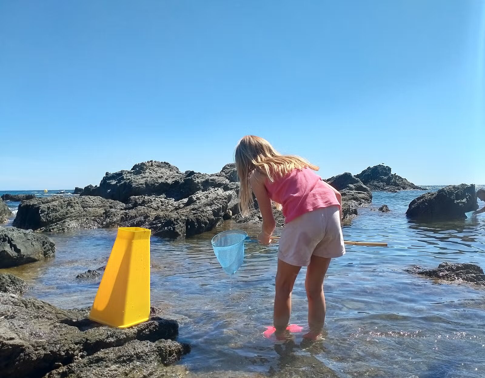 ecologia-litoral-llanca_empordaturisme
