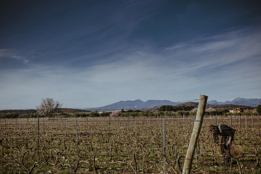 roig parals_do emporda_empordaturisme