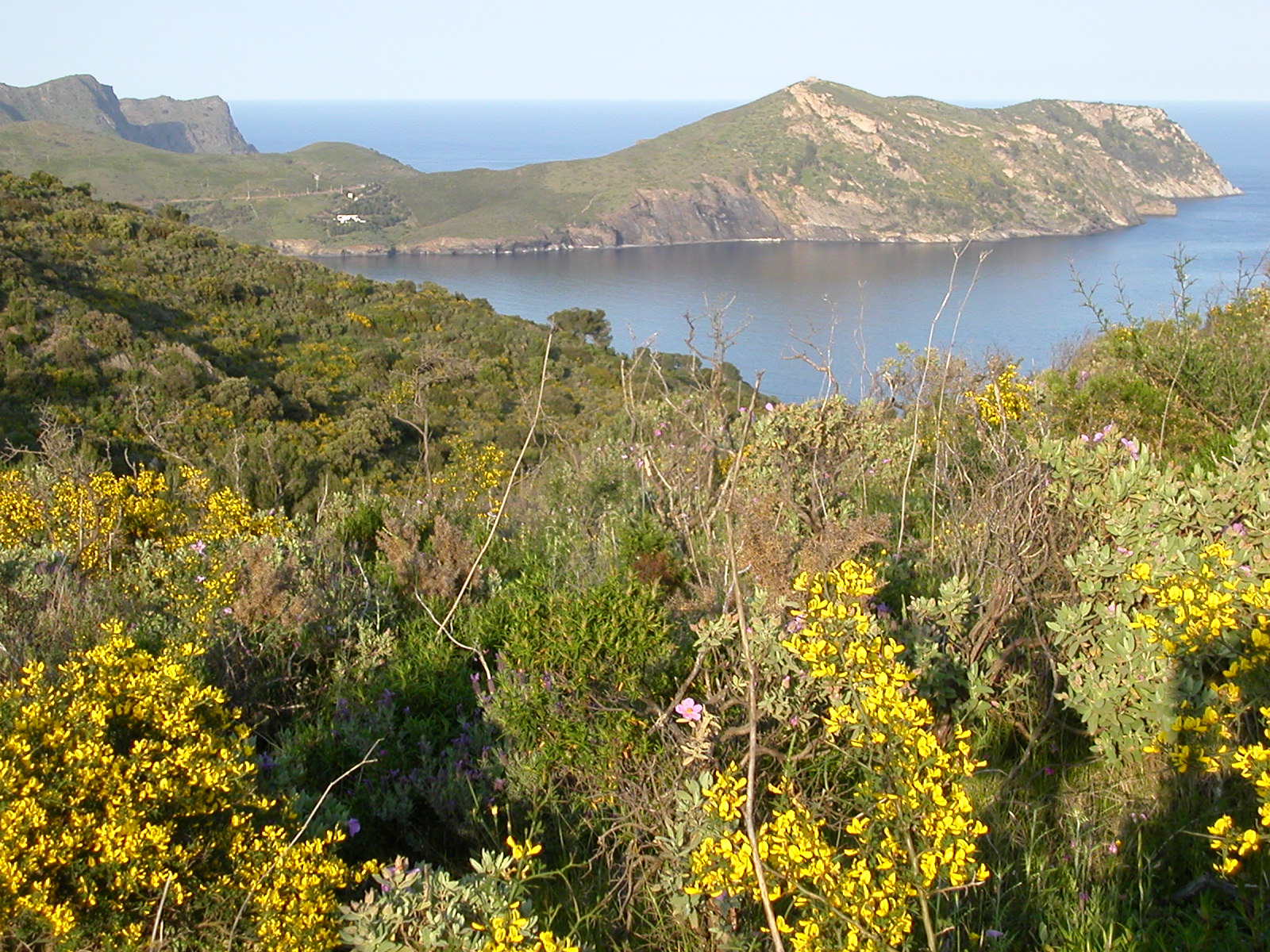 Un-mosaic-de-vida_espais naturals_Empordaturisme