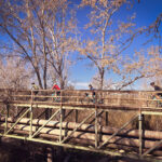 Castello dempuries_gravelera_empordaturisme